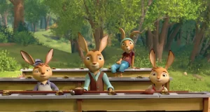 rabbitAcademy (26)
