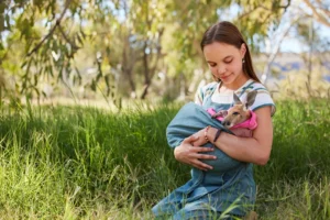 Kangaroo_stills (37)